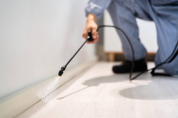 Professional exterminator conducting IPM assessment in Union City