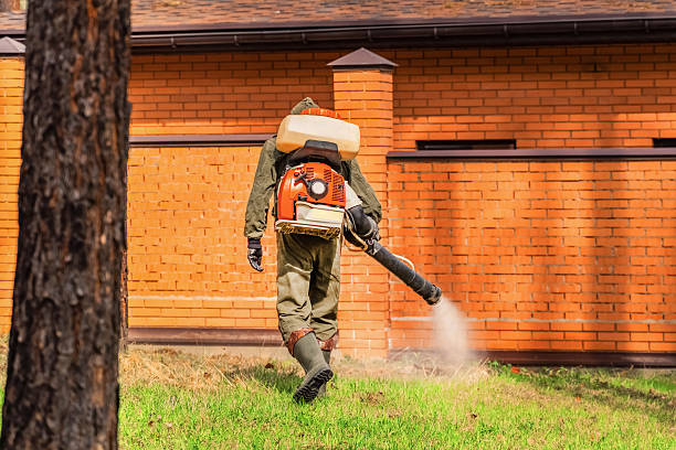 Top rated local Mosquito Control specialists in Union City, NJ